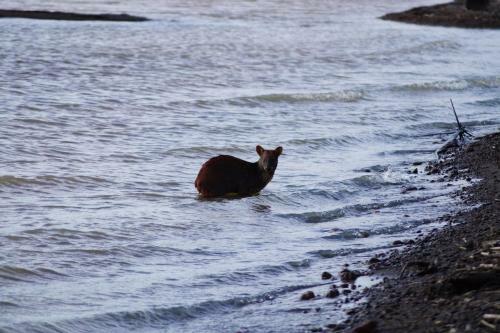 Caba�as Domos May-ling