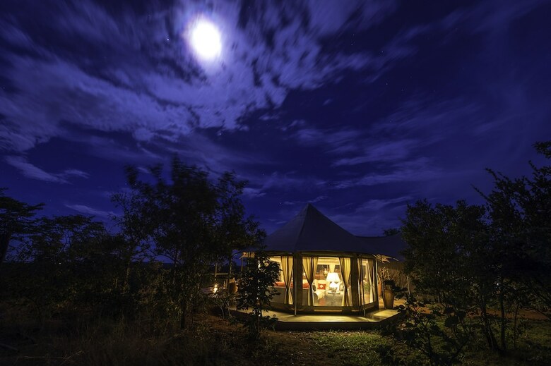 The Elephant Camp