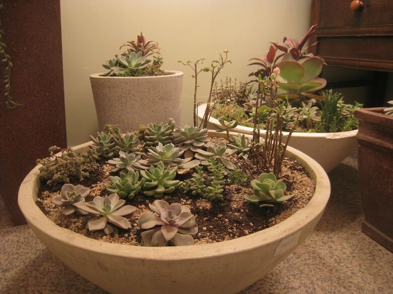 Formosa Boulevard Station Garden Hotel