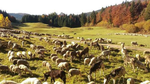 Apartamento Casa Camilla Holiday