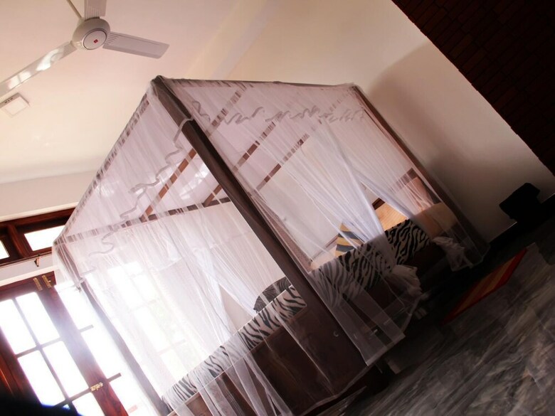 Hotel Lizzie Villa Guest House