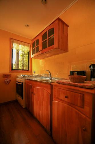 Lodge Hotel Y Caba�as Patagonia Green