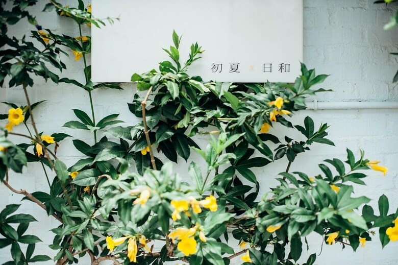 Bed & Breakfast Summer X Genial Hotel