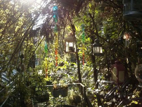 Apartamento Ferienwohnungen Willrich