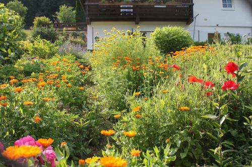 Agroturismo Blumbauernhof
