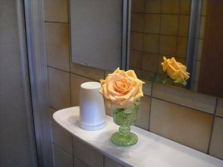 Hostal Hotel Landgasthof Wallburg