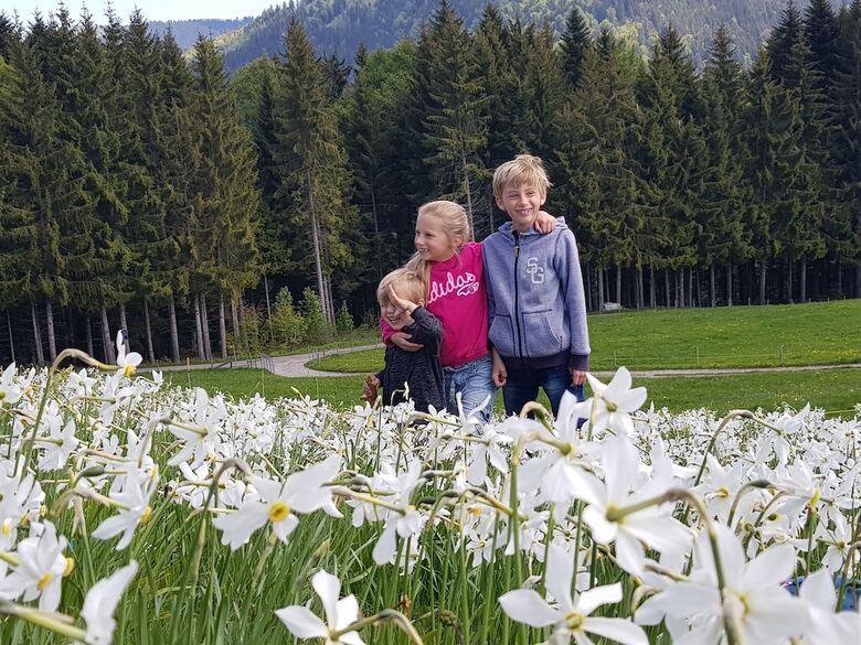 Villa Montreux Holiday Home