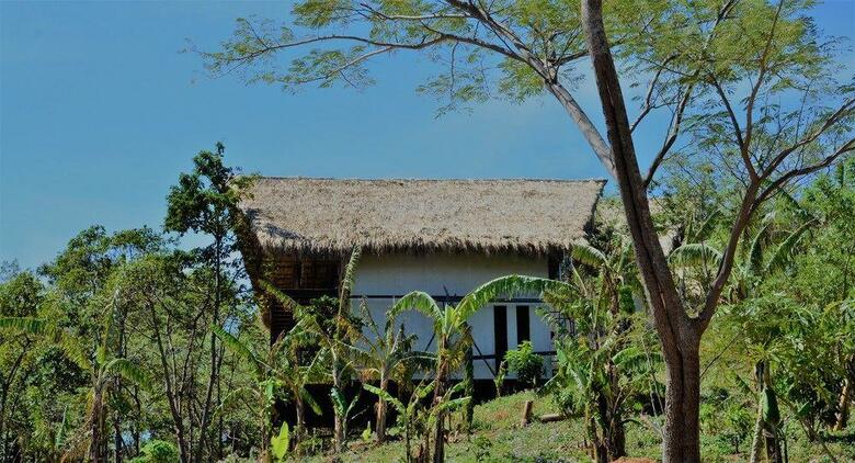 Hotel Treecasa Resort