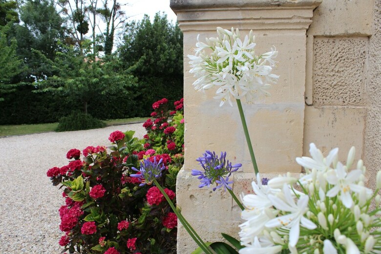 Bed & Breakfast Chambres D'h�tes Du Jardin