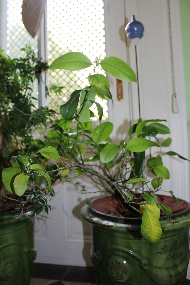 Bed & Breakfast Chambres D'h�tes Du Jardin
