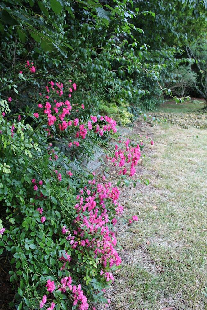 Bed & Breakfast Chambres D'h�tes Du Jardin