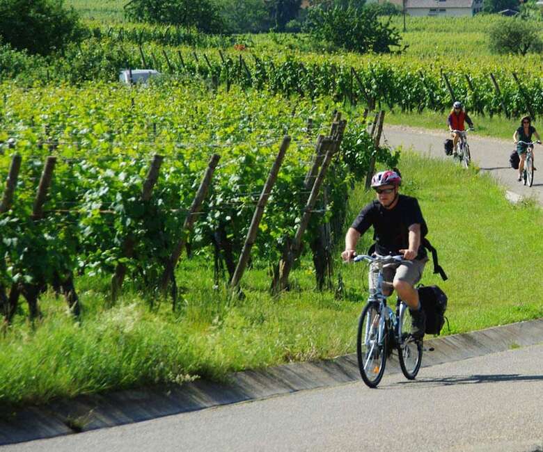Agroturismo Borgo Dell Aschetto
