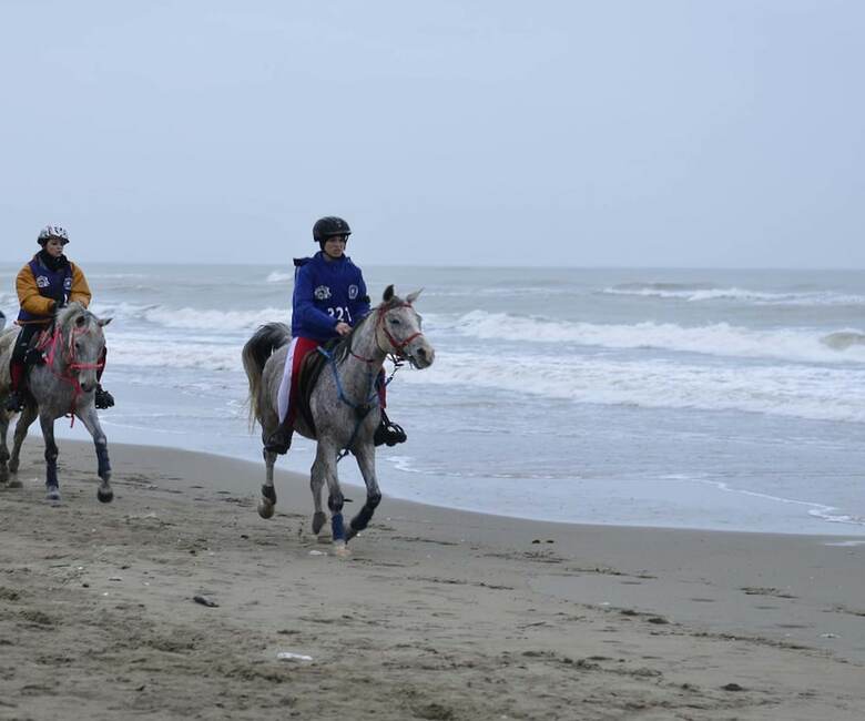 Agroturismo Borgo Dell Aschetto
