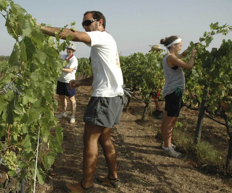 Agroturismo Borgo Dell Aschetto