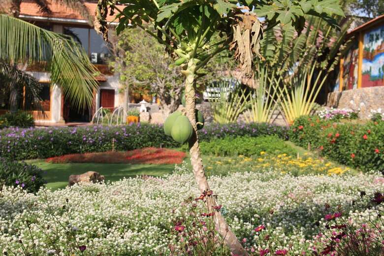 Hotel Ca Ty Mui Ne Resort
