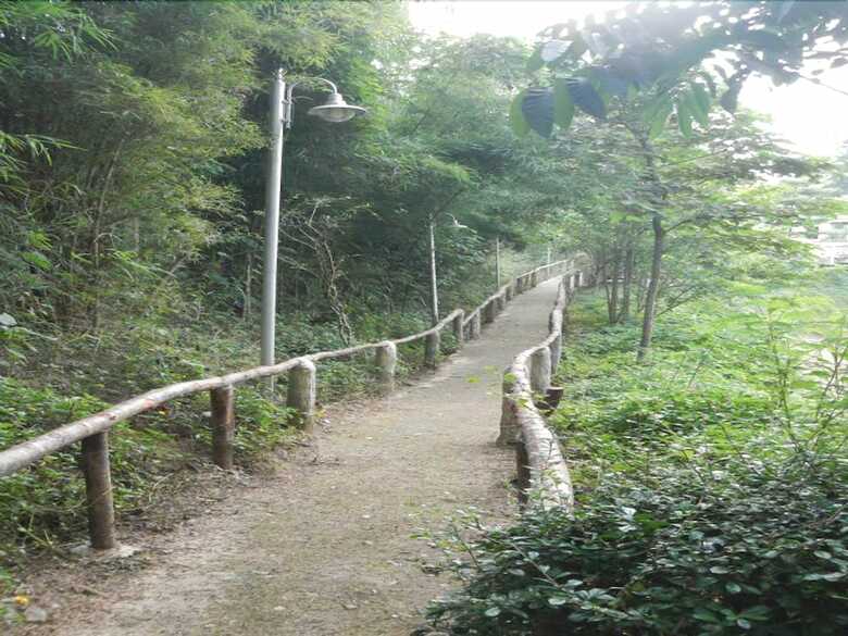 Hotel Suan Phueng Pa Wai Resort