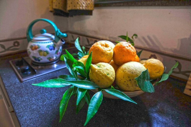 Hotel Etna Botanic Garden