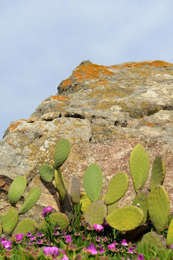 Apartamentos Avalon Mykonos Suites