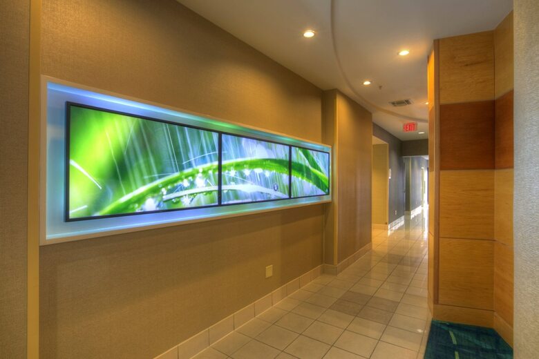 Hotel Springhill Suites By Marriott Tampa Brandon