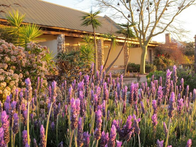 Bed & Breakfast Masada Guest House