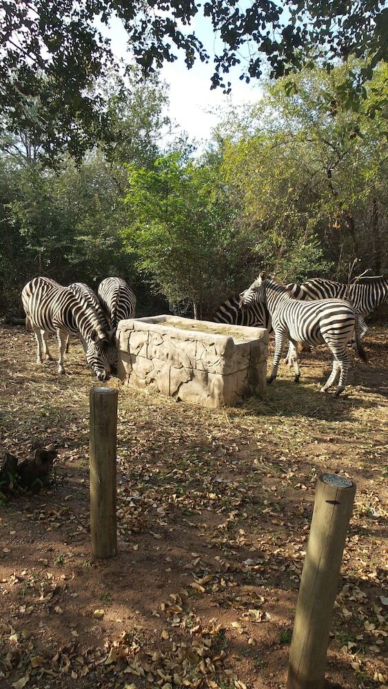 Hotel Beyond The Boma Boutique Guest