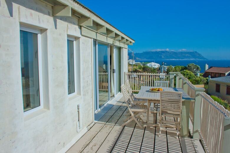 The Flying Penguin - In Cape Town (Cape Peninsula)