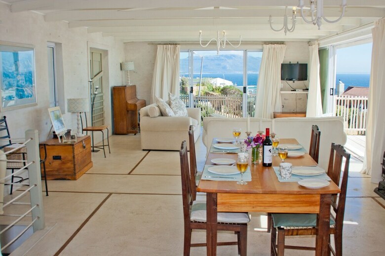 The Flying Penguin - In Cape Town (Cape Peninsula)