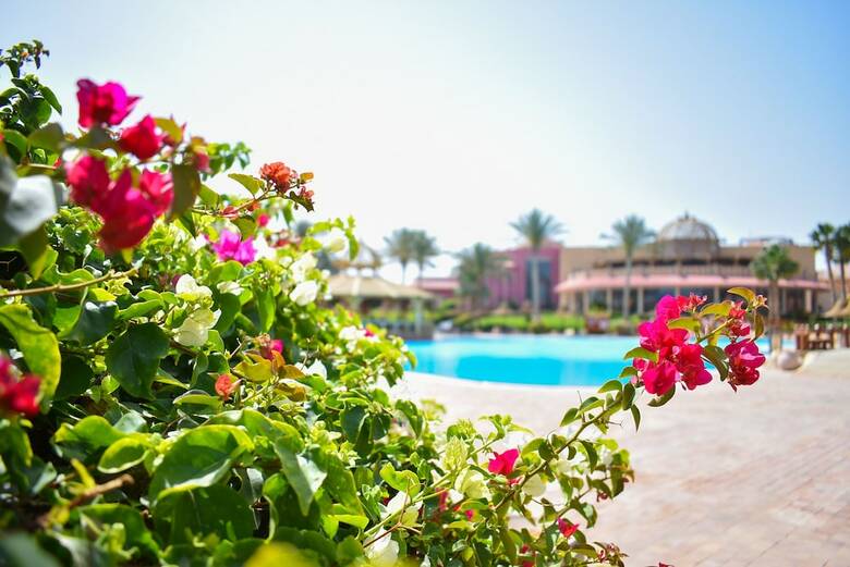 Apartamento Parrotel Aquapark Resort