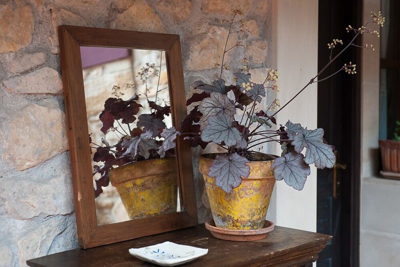 Hotel Corru San Pum�s