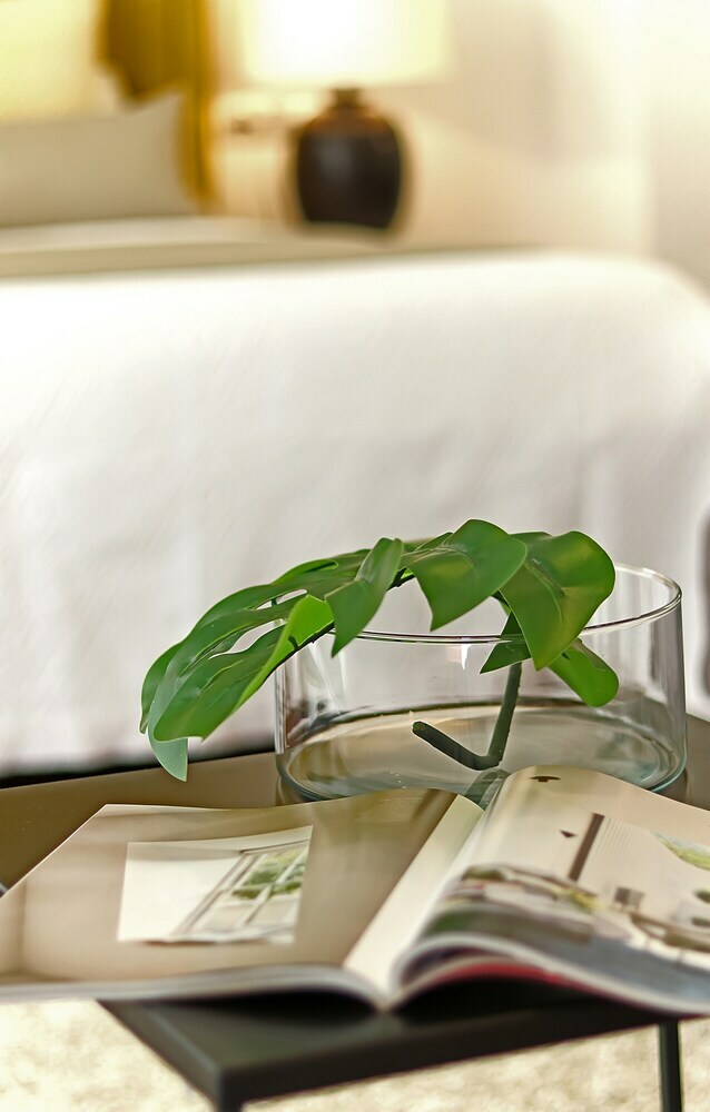 Apartamentos Iloftmalaga City Center