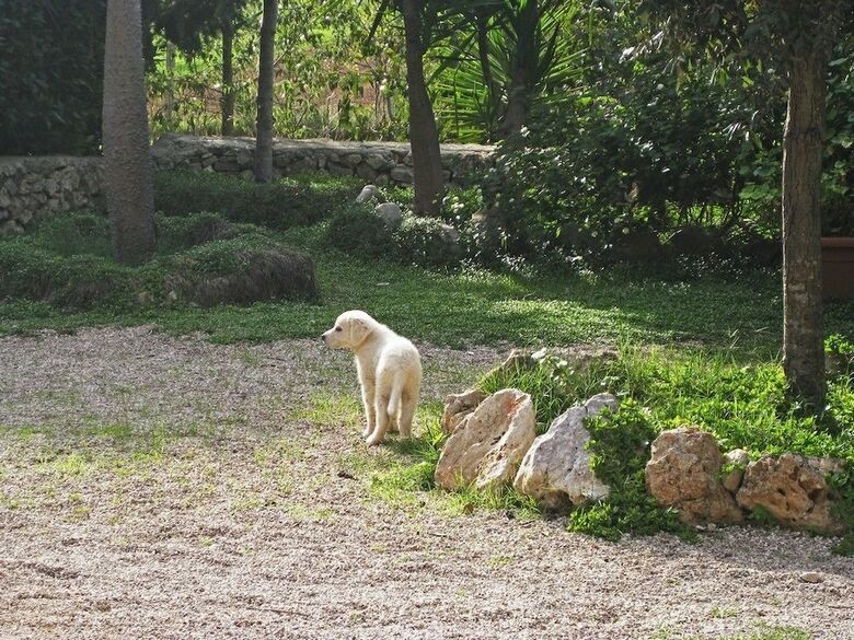 Bed & Breakfast Casato Calabrese