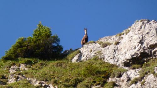 Hostal G�stehaus Christa