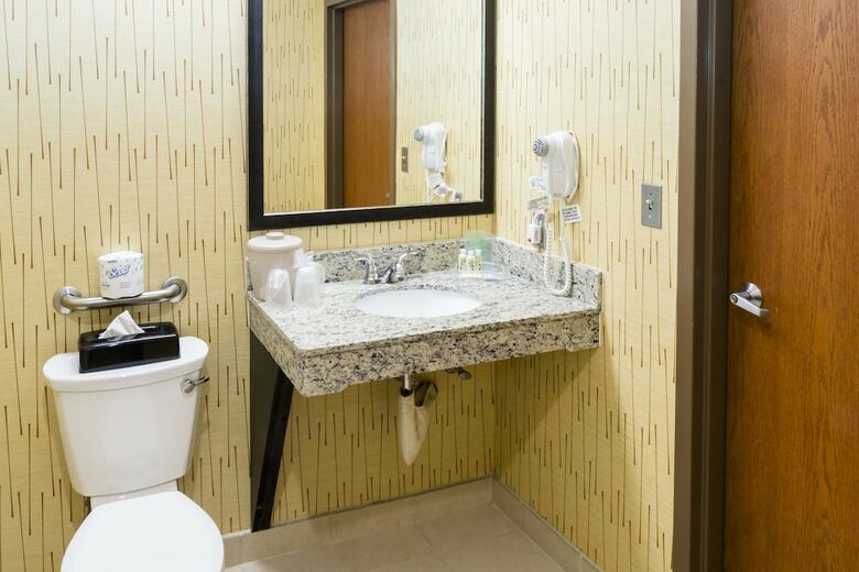 Holiday Inn Hotel And Conference Center Big Rapids