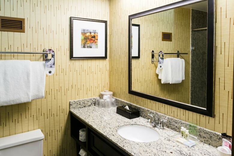 Holiday Inn Hotel And Conference Center Big Rapids
