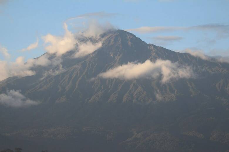 Hotel Boulevard Inn Mt Meru