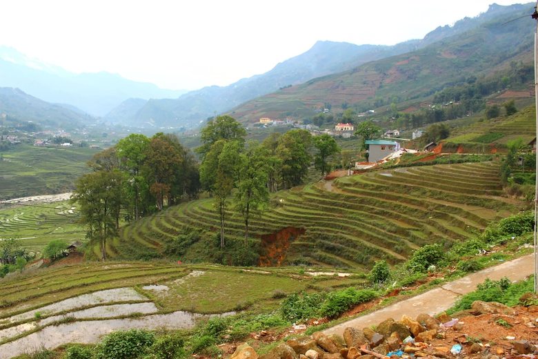 Bed & Breakfast Stunning Homestay