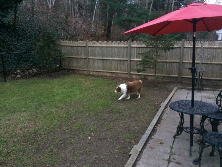 Cranberry Manor Bed And Breakfast Cape Cod