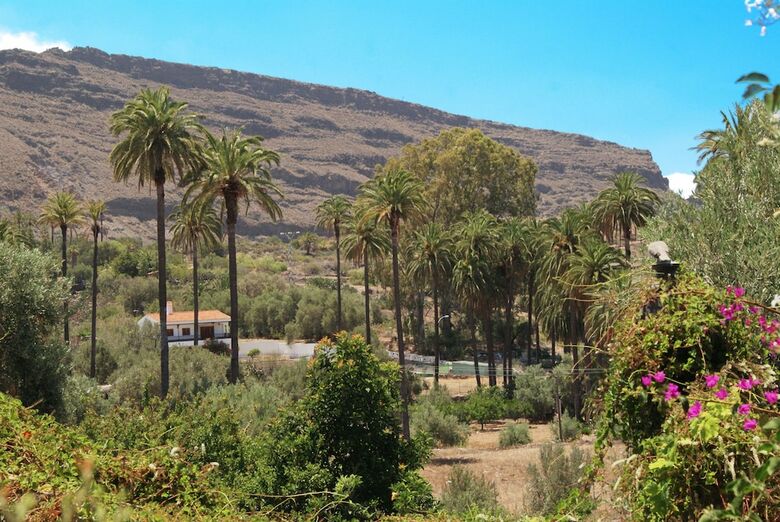 Agroturismo El Olivar - La Oliva