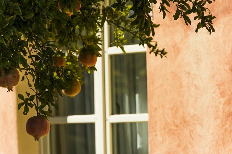 Apartamento La Beccanina Country Resort