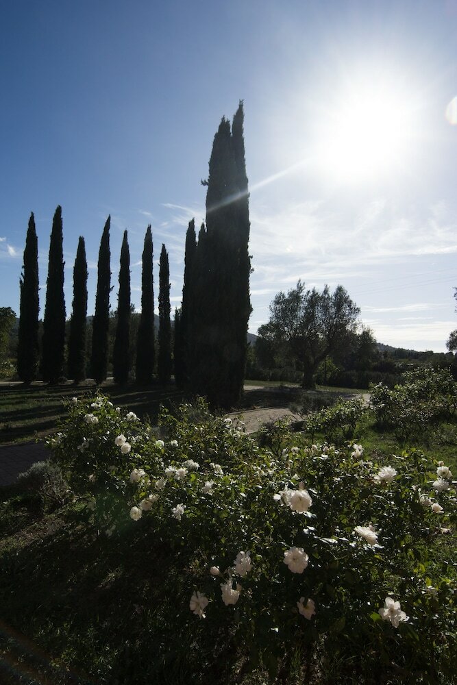 Apartamento La Beccanina Country Resort