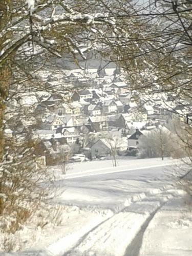 Hostal Pension Und Ferienwohnungen Schweinsberg