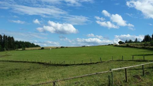 Hostal Landgasthof Zum Adler