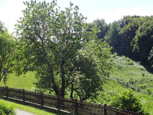 Hostal Pension Haus Am Rothen Berg