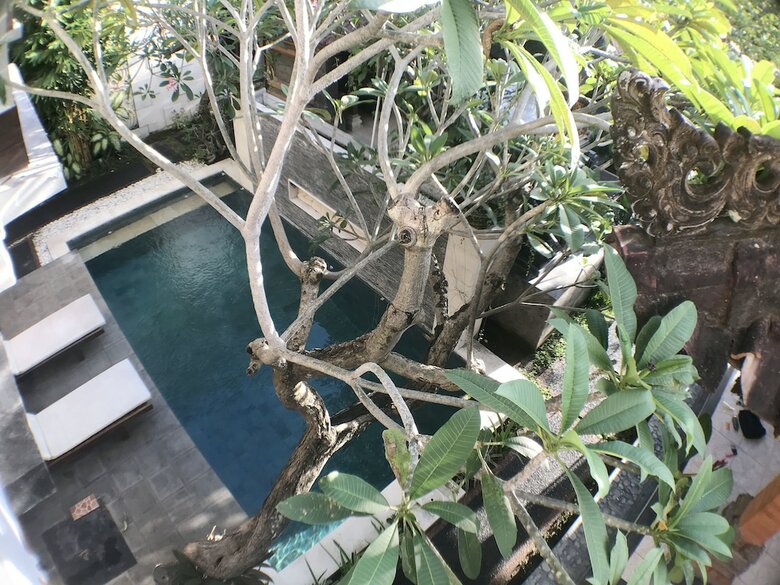 Bed & Breakfast Kubu Munggu Homestay