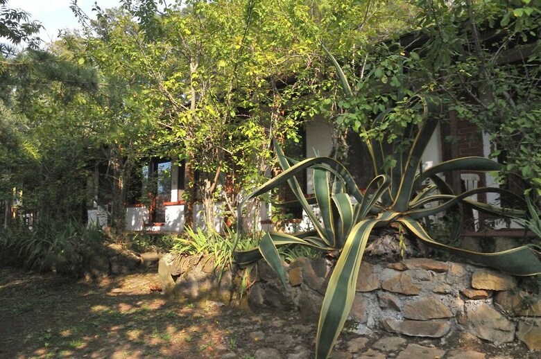 Agroturismo Agriturismo Bosco Pianetti