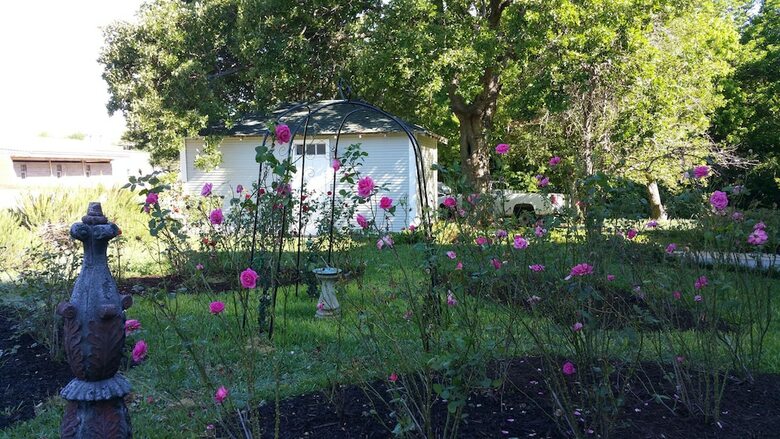Bed & Breakfast Fig Tree Manor