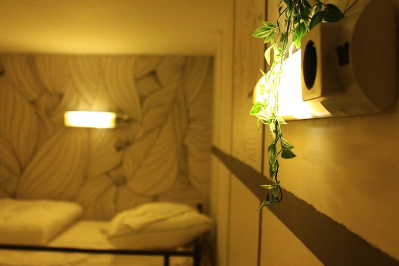 Hostal The Golden Stork - Hostel