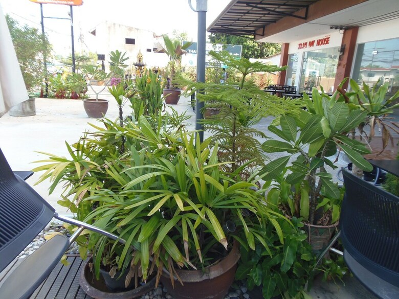 Hotel Elephant's End Guesthouse