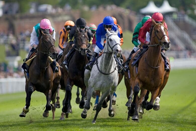 Hotel Holiday Inn Express Chester Racecourse(.)