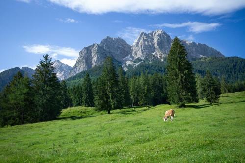 Hostal Gasthof H�henrain